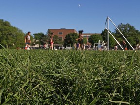 Fischer Park soccer field and baseball diamond, June 07, 2017.