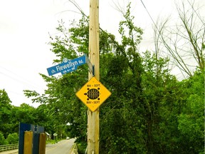 A turtle crossing sign, with grim tread marks on the turtle shell, in Stittsville.