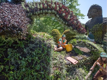 Gardeners at work as we get a sneak peek tour of the MosaiCanada 150 gardens opening at the end of June in Jacques Cartier Park in Gatineau.