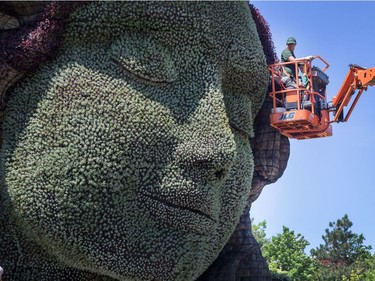 Gardeners at work on Mother Earth as we get a sneak peek tour of the MosaiCanada 150 gardens opening at the end of June in Jacques Cartier Park in Gatineau.