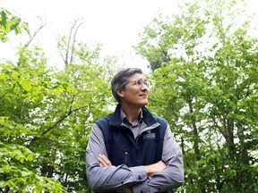 Joël Bonin, Quebec Vice President of Nature Conservancy Canada stands amongst the trees in Montebello, QC, after announcing new land that will be protected, June 05, 2017.