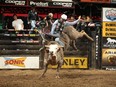 Lachlan Richardson attempts to ride Dakota Rodeo/Chad Berger/Clay Struve/Julie Rosen's American Sniper during the first round of the Kansas City Built Ford Tough series PBR.