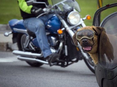 Missy was all set for The Telus Ride For Dad that kicked off from the Canada Aviation and Space Museum  Saturday June 3, 2017. The ride is to raise funds for prostate cancer research and raising public awareness of the disease.