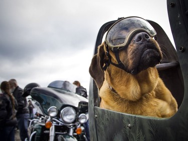 Missy was all set for The Telus Ride For Dad that kicked off from the Canada Aviation and Space Museum  Saturday June 3, 2017. The ride is to raise funds for prostate cancer research and raising public awareness of the disease.