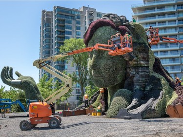 Mother Earth being worked on as we get a sneak peek tour of the MosaiCanada 150 gardens opening at the end of June in Jacques Cartier Park in Gatineau.