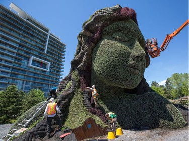 Mother Earth being worked on as we get a sneak peek tour of the MosaiCanada 150 gardens opening at the end of June in Jacques Cartier Park in Gatineau.