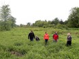 Charles Houle, his wife Cheryle and son Chance stand in parkland behind their home in Navan Ontario Tuesday June 6, 2017. The Houle family and some neighbourhood friends are members of a group of Navan landowners opposing a plan by South Nation Conservation Authority to build three "wetland" pools and a boardwalk on city parkland behind her house on Birchtree Crescent in Navan. Walking with the Houle's is Peter Friske (red jacket on right) and Daniel Charron (right).