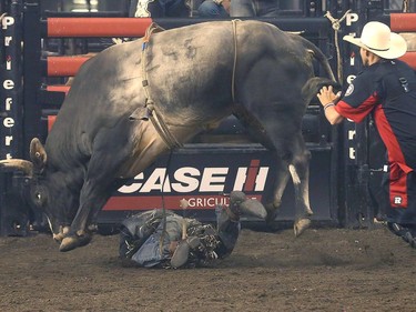 Brock Radford falling hits the deck after falling from Colt .45.   Tony Caldwell/Postmedia