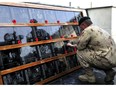 Kandahar Airfield 11 November 2011 Director of Staff, Strategic Joint Staff, Major-General Jonathan places poppies on every plaque on the Memorial of the Fallen at Kandahar Airfield during the last Remembrance Day ceremony in Southern Afghanistan on November 11, 2011. Photo: Sergeant Lance Wade