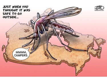 Mosquito season