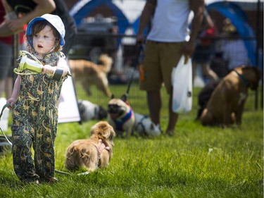 Two and a half year-old Sera Phina Mitchell was proudly holding her trophy that her and her dog won in a race at the Ottawa Dog Festival on the grounds of the RA Centre Sunday June 11, 2017.   Ashley Fraser/Postmedia