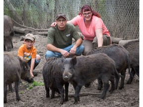 Gerry Oleynik and his wife Sophie Lalande raise wild boars on their farm. Their son Kiefer Oleynik is seen helping them out.