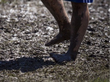 The hot sun made for perfect weather for HOPE Volleyball SummerFest that took over Mooney's Bay Park Saturday July 15, 2017. Friday nights downpour made for some wet and muddy spots on some of the courts Saturday.