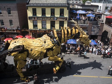 Long Ma, the dragon-horse, makes her way through the Byward Market on Friday.