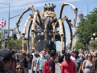 Kumo, the spider, makes her way along Sussex Drive on Friday. Darren Brown/Postmedia