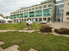 Grass is replaced on the front lawn of city hall, something they do every year.