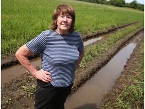 Lillian Drummond, a dairy farmer near Almonte, said her fields remain too wet to collect hay in wagons.