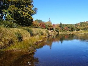 The St. Mary&#039;s River in Mitchells Pool, N.S., is shown in this undated handout photo. A critical habitat for several endangered species along one of Nova Scotia&#039;s most ecologically rich rivers has been protected following a donation from a well-known family. THE CANADIAN PRESS/HO - Nova Scotia Nature Trust *MANDATORY CREDIT*