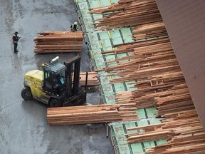 Workers sort and move lumber at the Delta Cedar Sawmill in Delta, B.C., on Friday January 6, 2017. As softwood negotiations with the United States languish, the Canadian government says it&#039;s readying itself for the next phase of the lumber fight: litigation.THE CANADIAN PRESS/Darryl Dyck