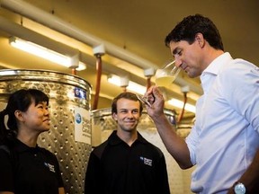Prime Minister Justin Trudeau, right, is shown around the Niagara College teaching winery by winery and viticulture technician program student Kalem Magny, centre, and recent program graduate Di Yao at the campus in Niagara-on-the-Lake, Ont., Saturday, August 26, 2017. THE CANADIAN PRESS/Aaron Lynett