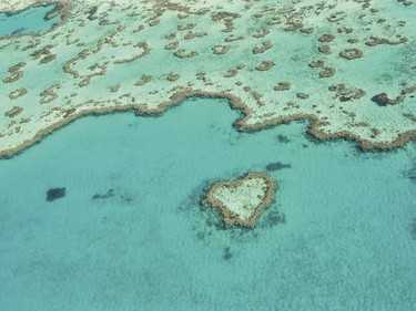 Heart Reef, Great Barrier Reef, Queensland.