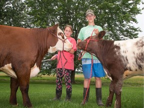 Owen Grundy, 13, and his sister Cameron, 10, are preparing their 4H calves and yearlings to show at the country fairs this year. They will be attending Stock Show U, a two day workshop for 4H kids who want to know how to groom and primp their cows for show, being held at the Metcalfe Fairgrounds on Aug. 5-6, 2017.