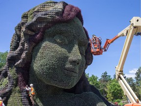 Gardeners at work on Mother Earth as we get a sneak peek tour of the MosaiCanada 150 gardens opening at the end of June in Jacques Cartier Park in Gatineau.     Wayne Cuddington/Postmedia
Wayne Cuddington, Postmedia