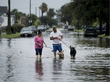 People walk dogs through flooded streets as the effects of Hurricane Harvey are seen August 26, 2017 in Galveston, Texas. Hurricane Harvey left a trail of devastation Saturday after the most powerful storm to hit the US mainland in over a decade slammed into Texas, destroying homes, severing power supplies and forcing tens of thousands of residents to flee.