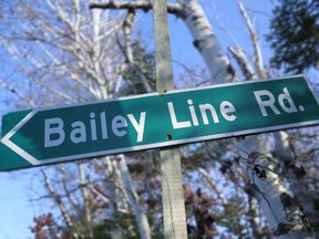 The Bailey Line Road Chronicles are true Canadian stories from 30 years of post-city life in a backwoods corner of a rural island. Visit BaileyLineRoad.com to read for free.