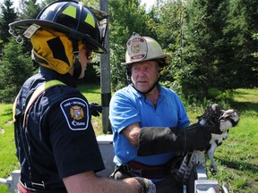 Landowner Dave Craig, in a borrowed fire helmet, holds a juvenile osprey as he and Firefighter Byron McNeely prepare to lift it back into its nest Thursday morning.