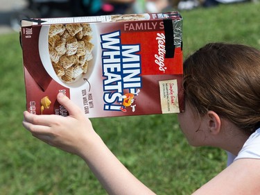 Nefes Gurkan-Marshall, 13, uses a cereal box converted into a pinhole camera as the partial solar eclipse is observed at an event held by the Royal Astronomical Society at the Canadian Aviation and Space Museum in Ottawa. Photo Wayne Cuddington/ Postmedia
Wayne Cuddington, Postmedia