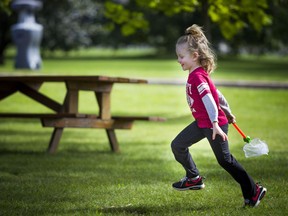 Four-year-old Charlee Leroux runs through the fields with a bug net during Bug Day at the Central Experimental Farm Saturday.