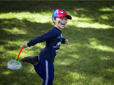 Four-year-old Max Prouse runs through the fields with his bug net during Bug Day at the Central Experimental Farm on Saturday.   Ashley Fraser/Postmedia