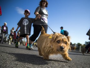 The Ottawa Humane Society's Wiggle Waggle Run has been cancelled again in 2021. File