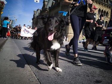 One Run to Remember participant brought a good friend along for the run.