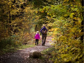 Excellent fall weather is in the forecast/