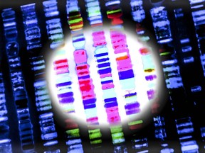 DNA sequence