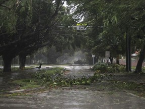 Powerful Hurricane Irma Slams Into Florida

MIAMI, FL - SEPTEMBER 10:  Trees and branches are seen after being knocked down by the high winds as hurricane Irma arrives on September 10, 2017 in Miami, Florida.  Hurricane Irma made landfall in the Florida Keys as a Category 4 storm on Sunday, lashing the state with 130 mph winds.  (Photo by Joe Raedle/Getty Images)
Joe Raedle