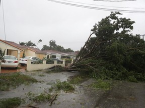 Trees and branches are seen after being knocked down by the high winds as hurricane Irma arrives on September 10, 2017 in Miami, Florida.  Hurricane Irma made landfall in the Florida Keys as a Category 4 storm on Sunday, lashing the state with 130 mph winds.  (Photo by Joe Raedle/Getty Images)
Joe Raedle
