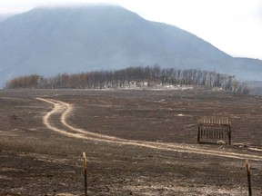 Burnt grassland near Waterton Lake is shown on Wednesday, September 13.
