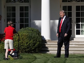 Frank Giaccio, 11, of Falls Church, Va., is surprised by President Donald Trump, Friday, Sept. 15, 2017, as he mows the lawn of the Rose Garden at the White House in Washington. The 11-year-old was focused on the job at hand and didn't notice the president until he was right next to him. (AP Photo/Jacquelyn Martin)