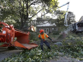 Storm Clean Up

Christian's Tree Service cleans up a tree which fell on a house in Ottawa Ontario Thursday Sept 28, 2017. Crews are cleaning up trees all over the city of Ottawa after Wednesday's wind and rain storm.  Tony Caldwell
Tony Caldwell