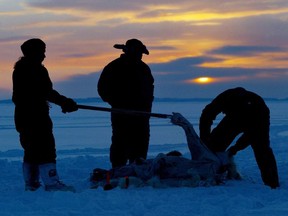 A high smoking rate is a problem for Inuit living in Ontario, but another, said Jason LeBlanc, executive director of the Ottawa Inuit organization, is lack of access to so-called country food that is hunted, fished and gathered by Inuit in the North.