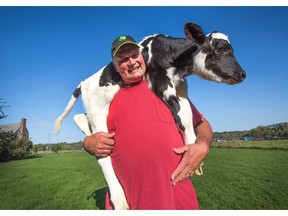 Peter Ruiter, the farmer who lost 80 cattle to a fire Friday, has something to smile about today. Overnight Monday, one of the cows he was housing in his neighbours barn had a calf. It's a bull calf so he won't be helping the milking operation but there are four more cows due in the next few days.