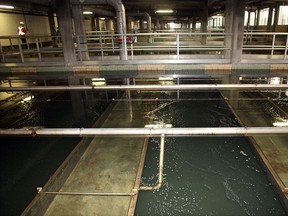 The filtration beds at the Lemieux Island Water Purification Plant.