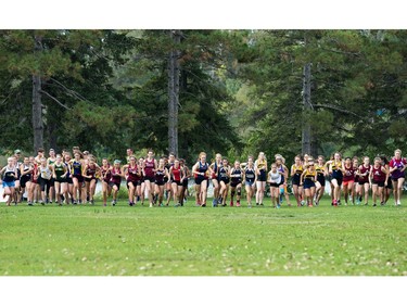 The junior girls jostle for position as they head towards the climb up the Mooney's Bay hill as the 2017 Gryphon Open Cross Country Meet takes place Wednesday at the Terry Fox Athletic Facility near Mooney's Bay featuring competitors from area schools. The event is hosted by the Glebe Collegiate Gryphons.
