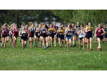 The junior girls jostle for position as they head towards the climb up the Mooney's Bay hill as the 2017 Gryphon Open Cross Country Meet takes place Wednesday at the Terry Fox Athletic Facility .