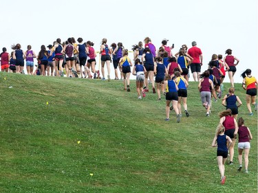 The junior girls make the big climb up the Mooney's Bay hill as the 2017 Gryphon Open Cross Country Meet takes place Wednesday at the Terry Fox Athletic Facility.