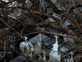 Down trees rest on tombs at the cemetery of Lares after the passing of Hurricane Maria, in Puerto Rico, Tuesday, Sept. 26, 2017. Gov. Governor Ricardo Rossello and Resident Commissioner Jennifer Gonzalez, the island's representative in Congress, have said they intend to seek more than a billion in federal assistance and they have praised the response to the disaster by President Donald Trump, who plans to visit Puerto Rico next week, as well as FEMA Administrator Brock Long. (AP Photo/Ramon Espinosa)