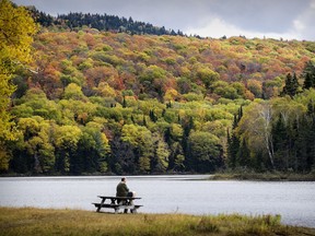 Looks like a great weekend to check out the fall foliage.